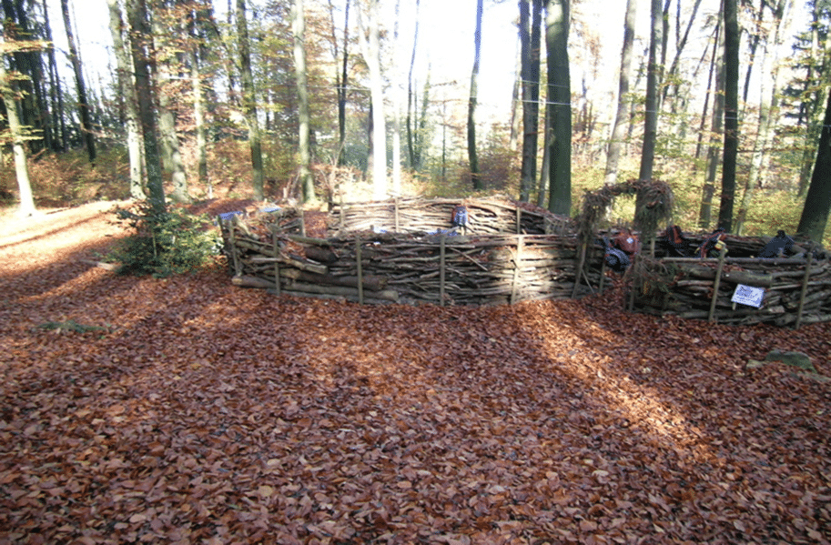 Crédit : Sarah Wauquiez