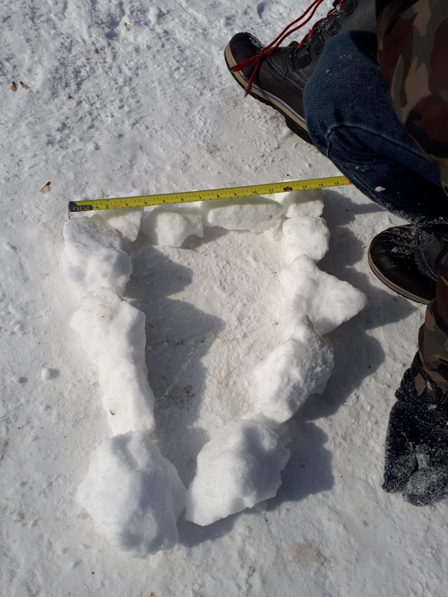 Crédit : Julie Moffet