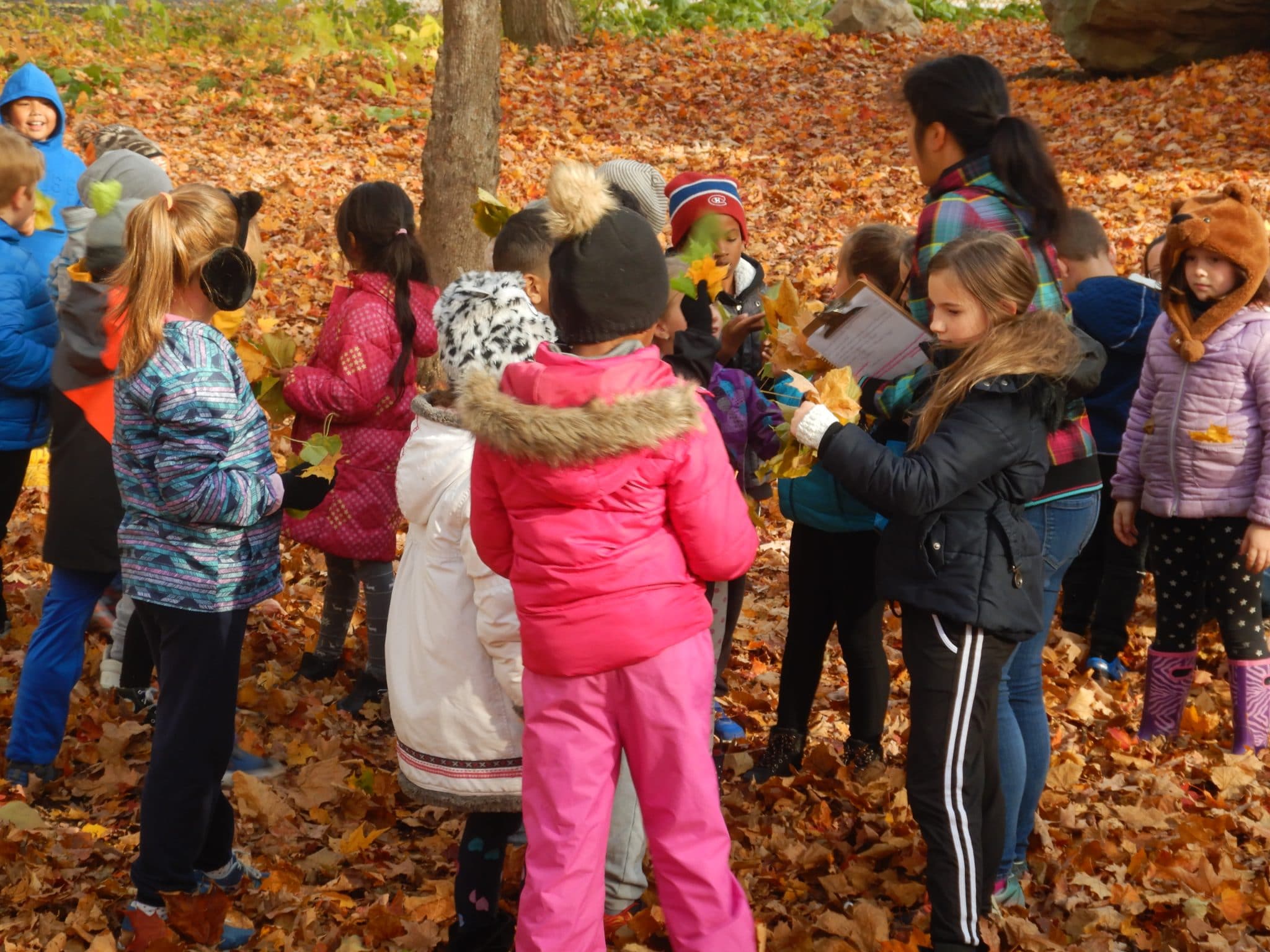 Crédit photo : Sabrina Desrochers, les Clubs 4-H du Québec
