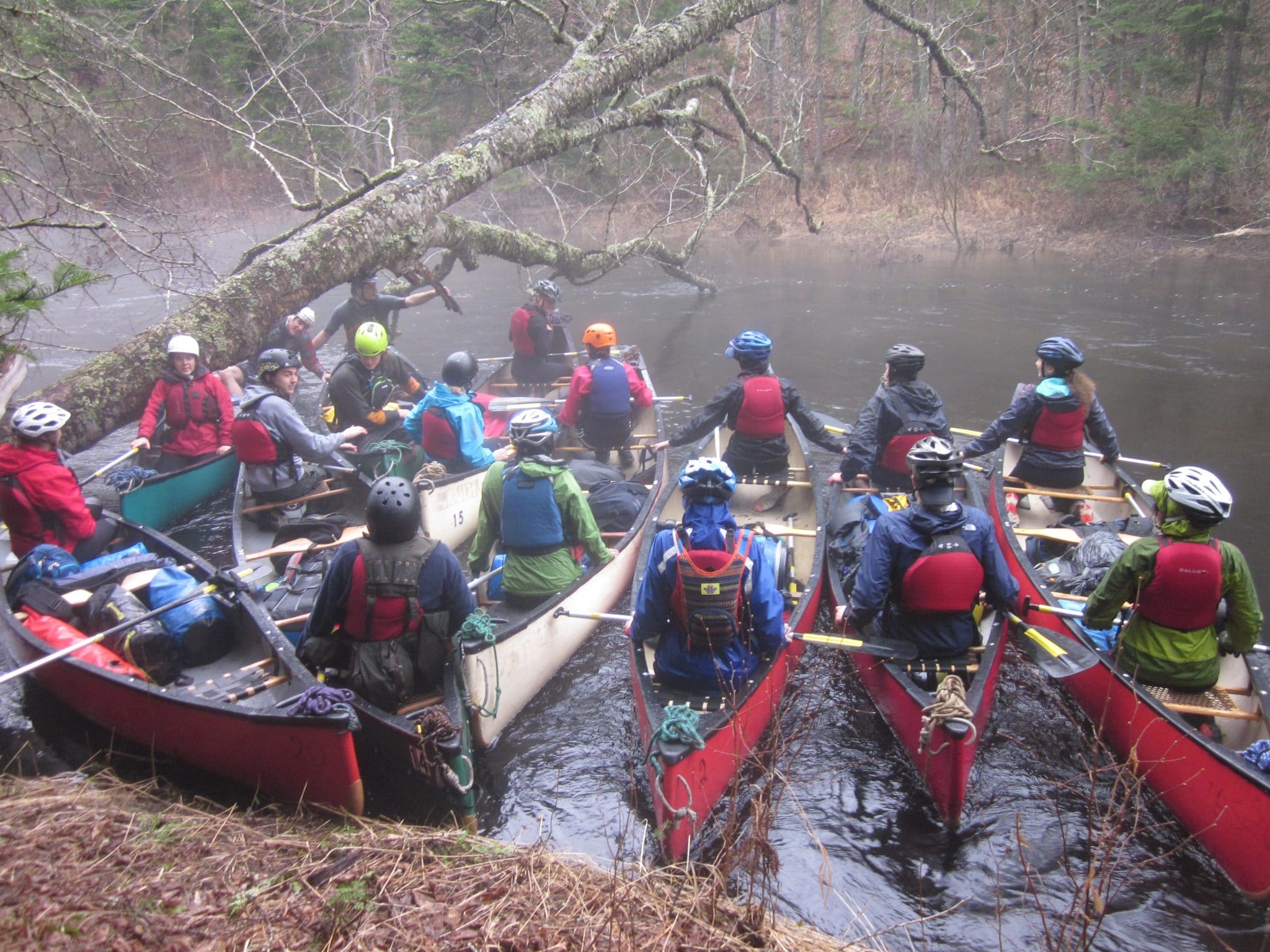 Crédit photo : Michel Le Quéré.