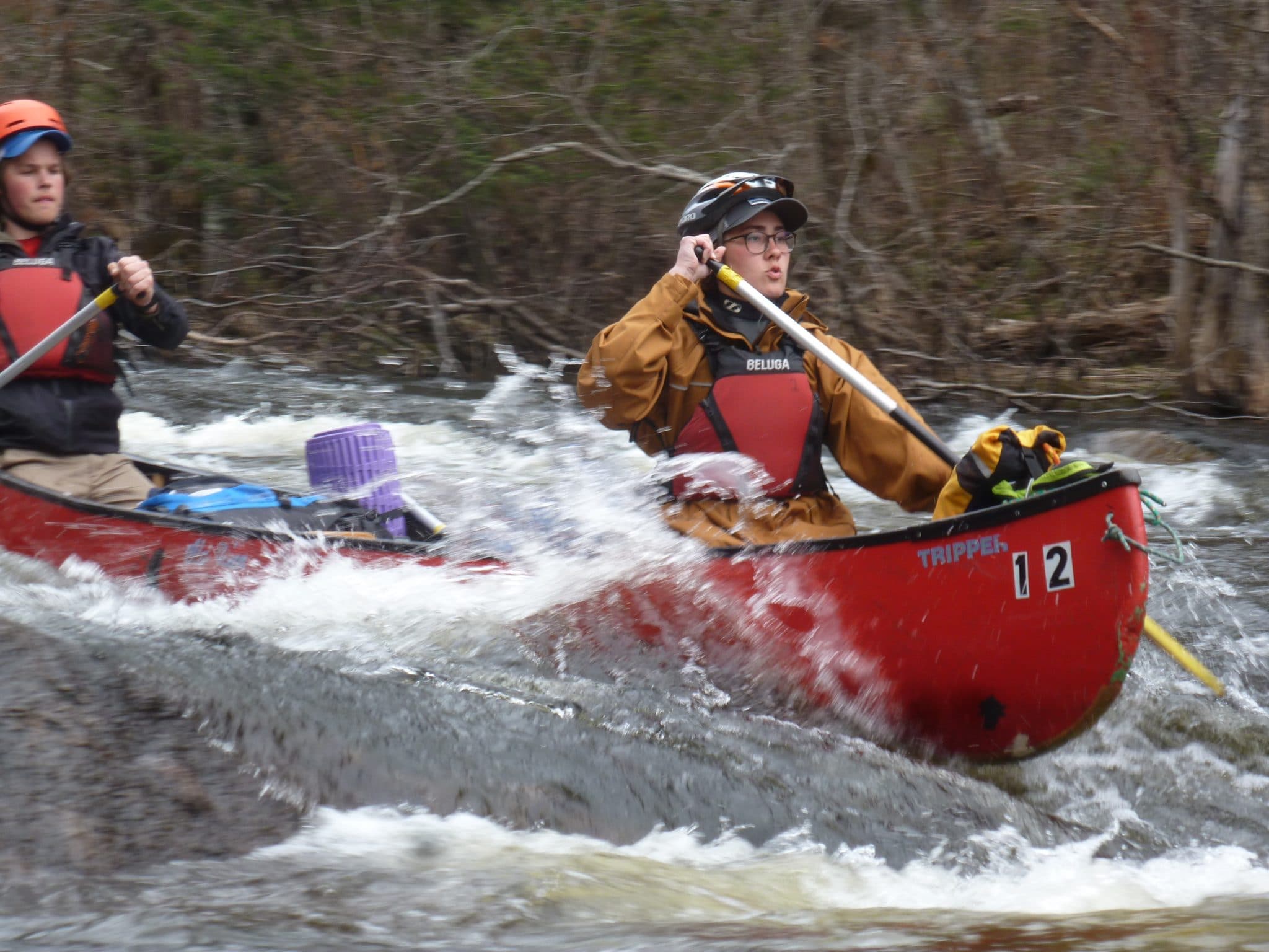 Crédit photo : Michel Le Quéré.