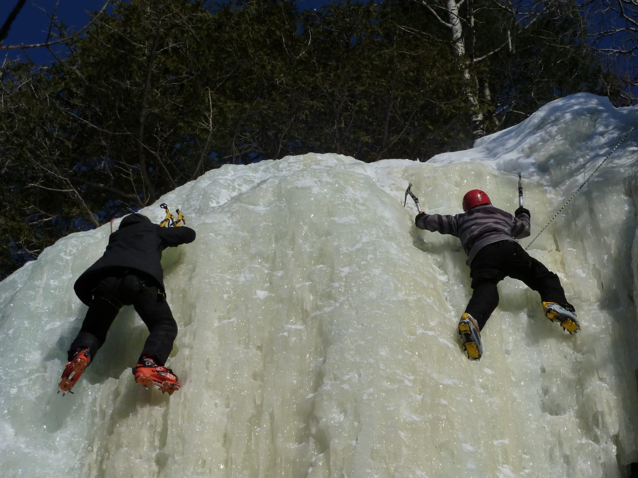 Crédit photo : Michel Le Quéré.