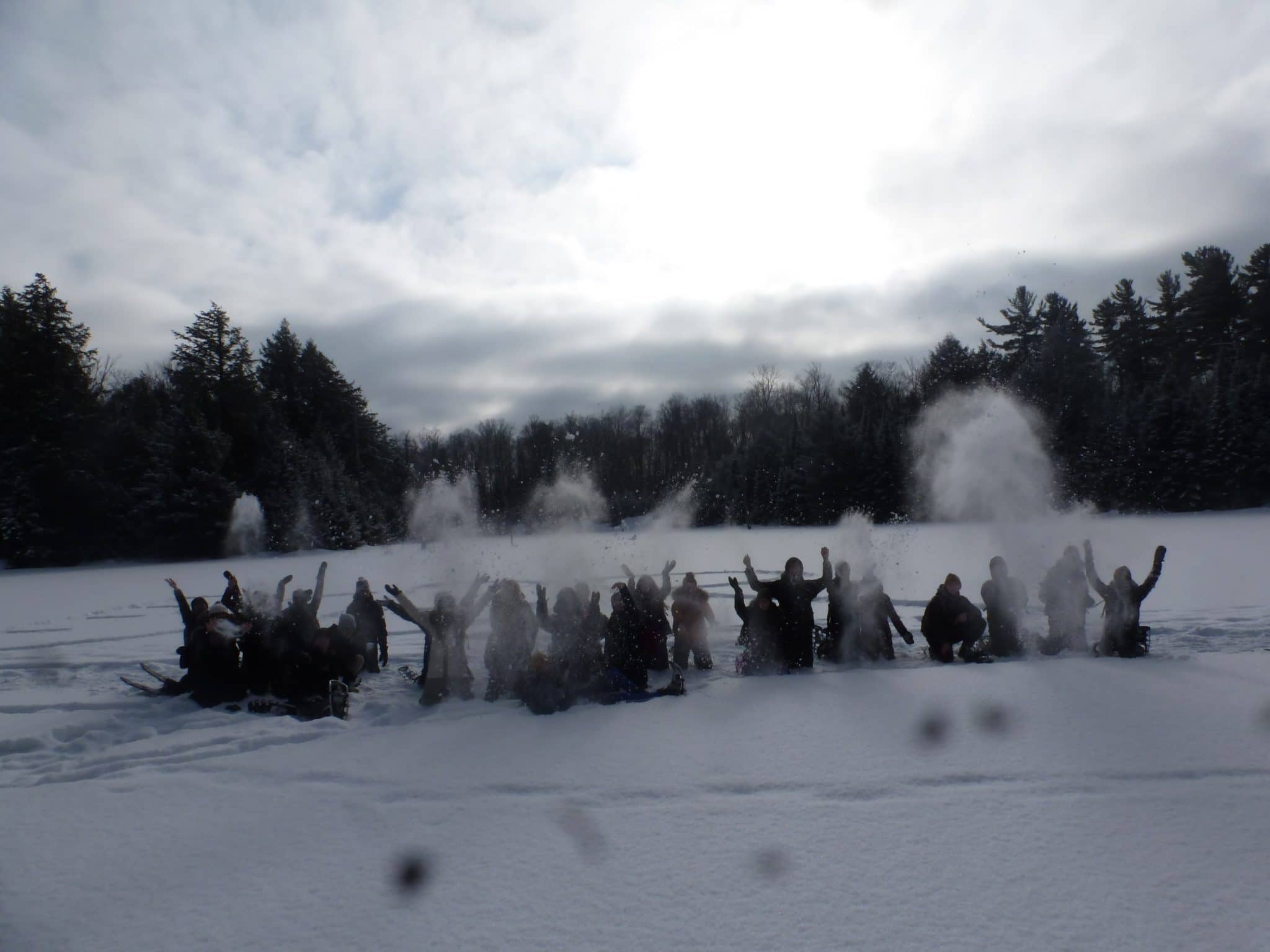 Crédit photo : Michel Le Quéré.