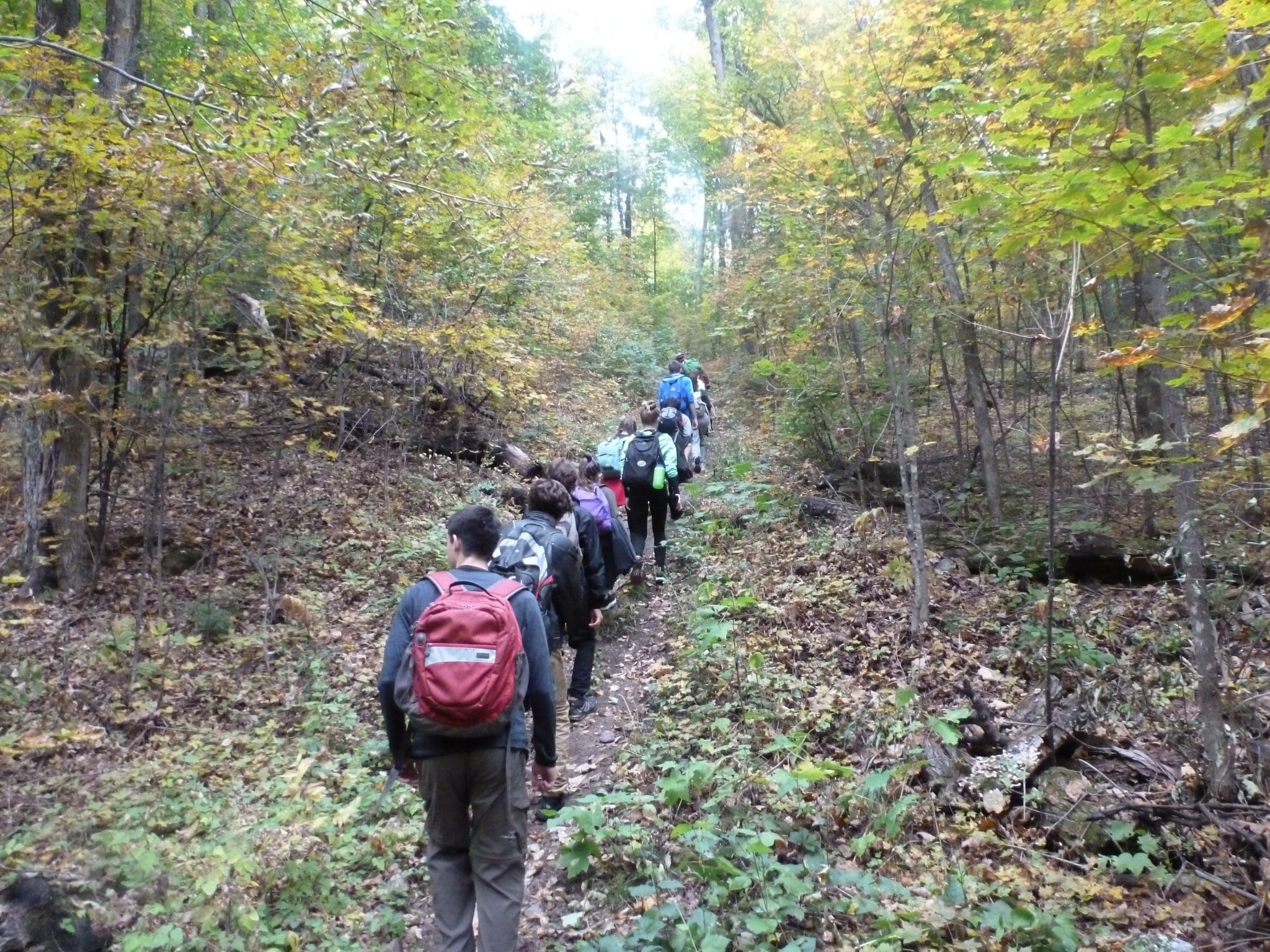 Crédit photo : Michel Le Quéré.