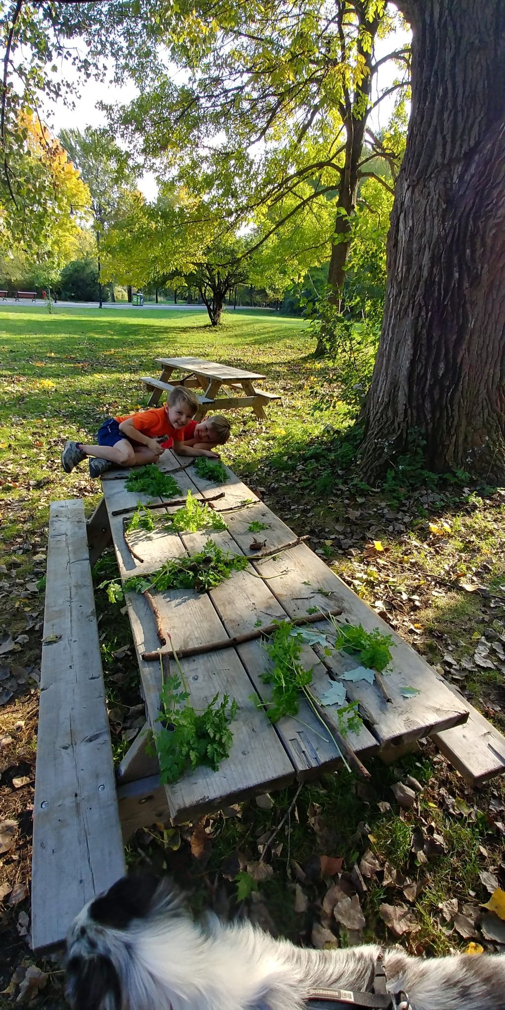 Crédit : As'SOIF'fés de Nature