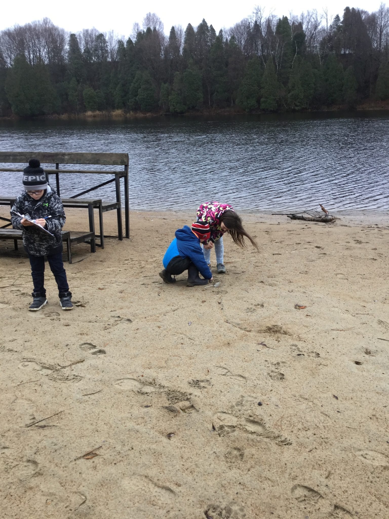 Crédit photo : Stéphanie Genest et Julie Vézina, école du Goéland, CS de Portneuf