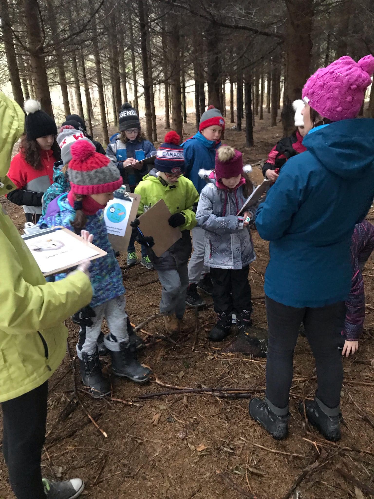 Crédit photo : Stéphanie Genest et Julie Vézina, école du Goéland, CS de Portneuf