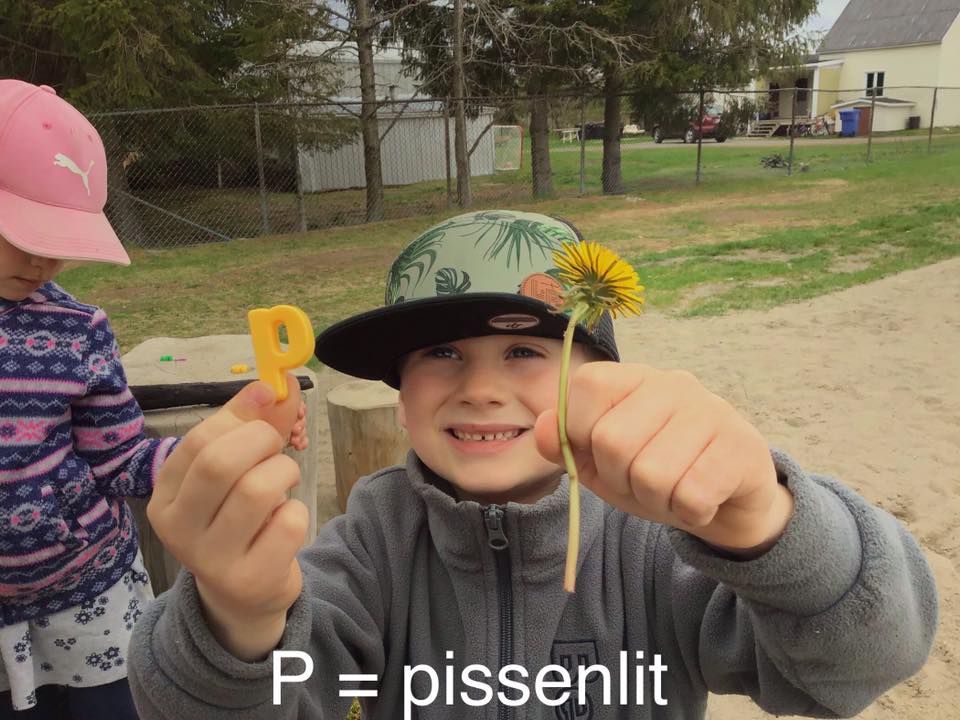 Crédit photo : Julie Normand, enseignante.