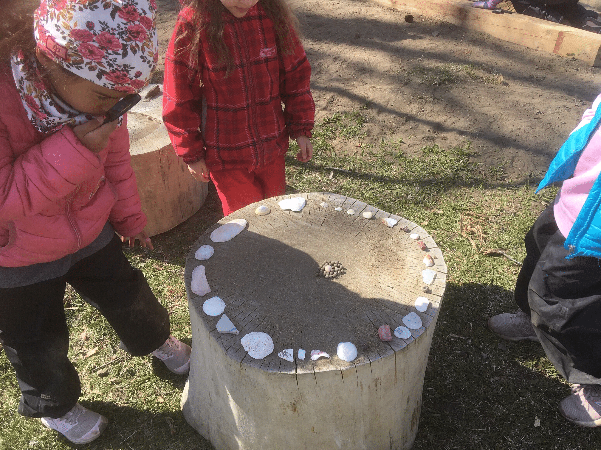 Crédit photo : Caroline Ricard, enseignante