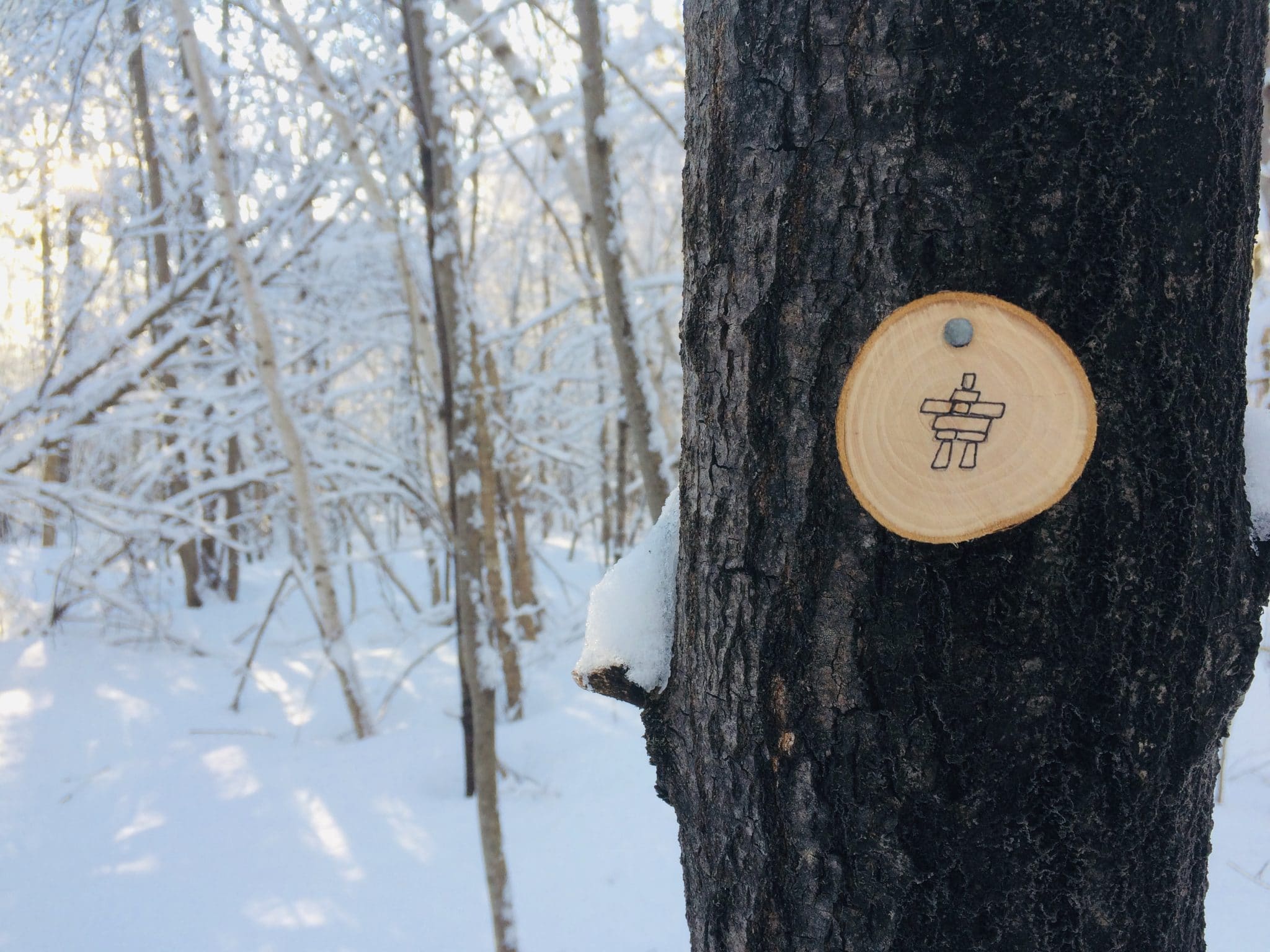 Indice sur un arbre. Crédit photo : Frédéric Moreau