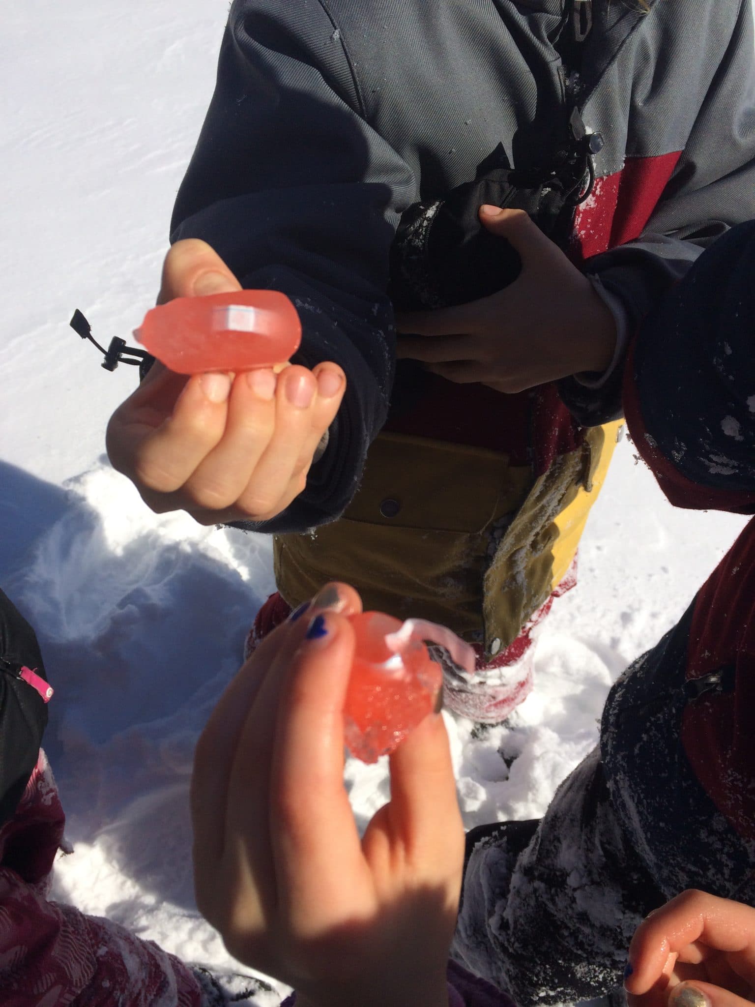 Indices prisonniers des glaçons. Crédit photo : Frédéric Moreau
