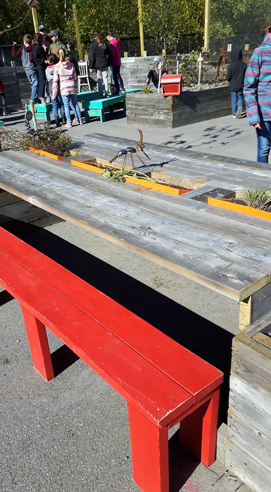 Crédit photo : École Les Dunes