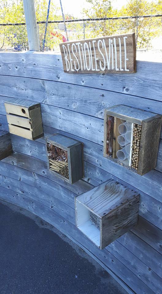 Crédit photo : École Les Dunes