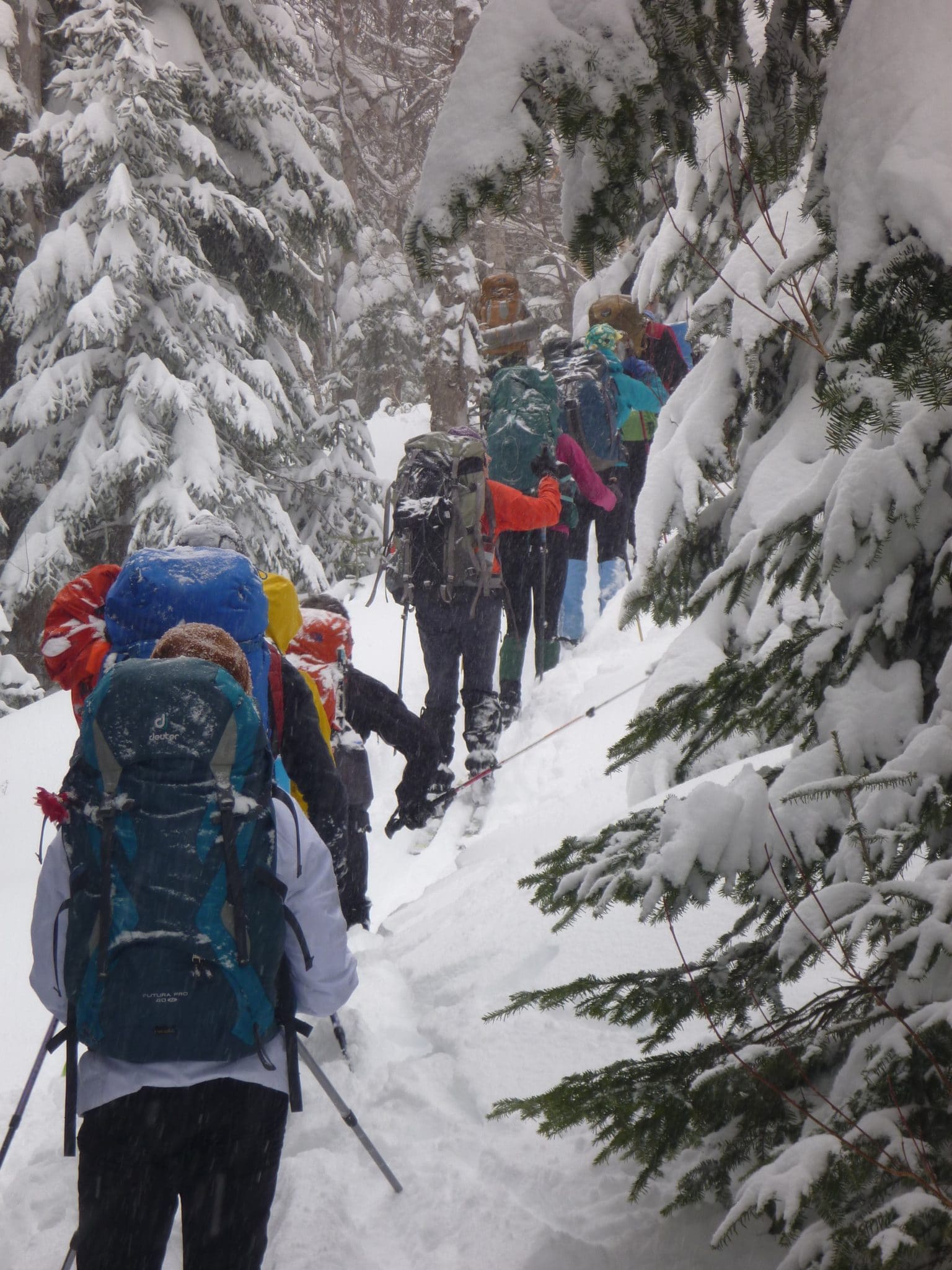 Crédit photo : Célyne Paradis, enseignante