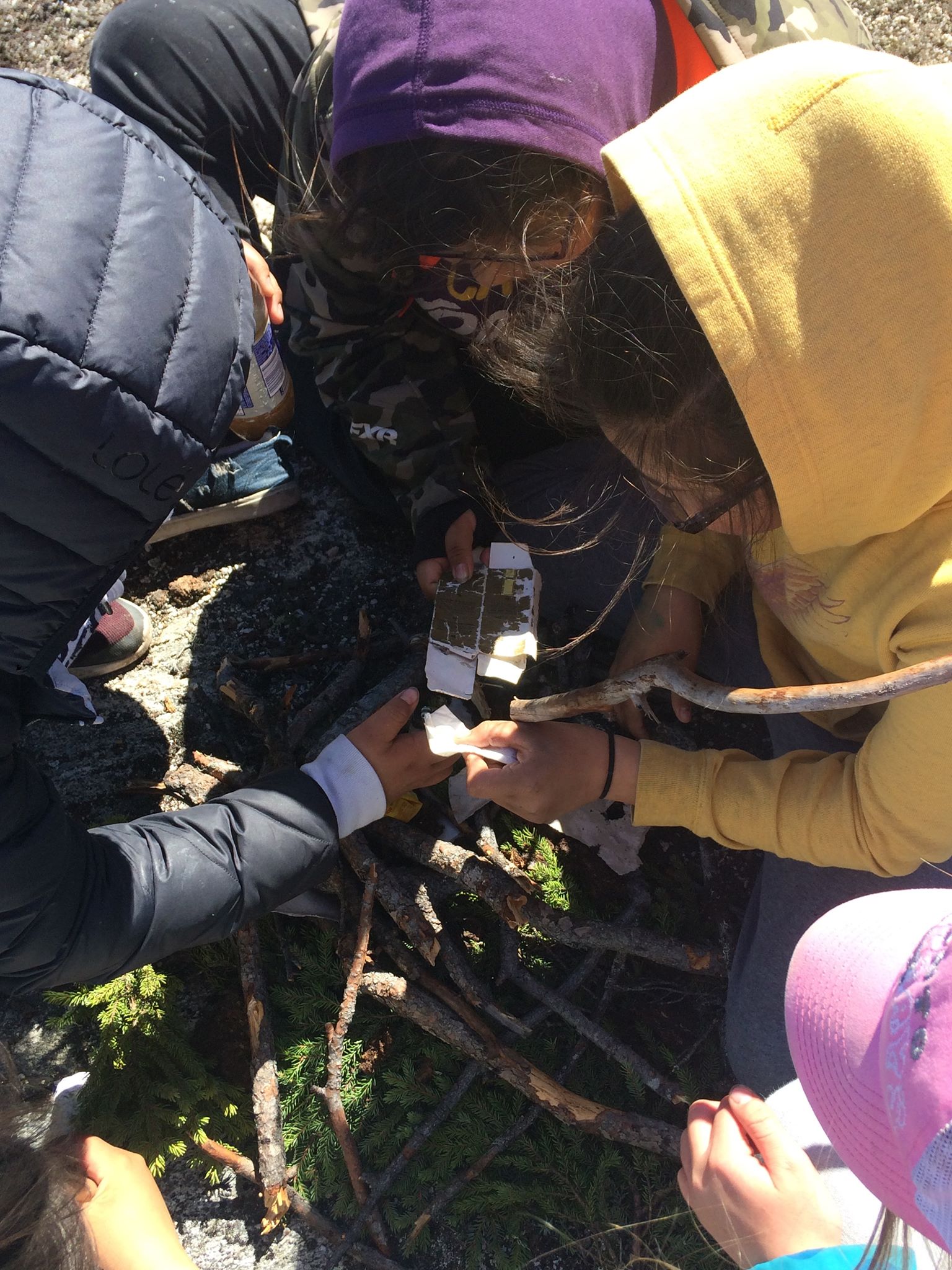 Crédit photo : Marie Chamberland, la Classe Nature