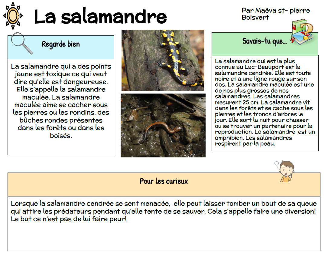 Extrait d'un guide du boisé.