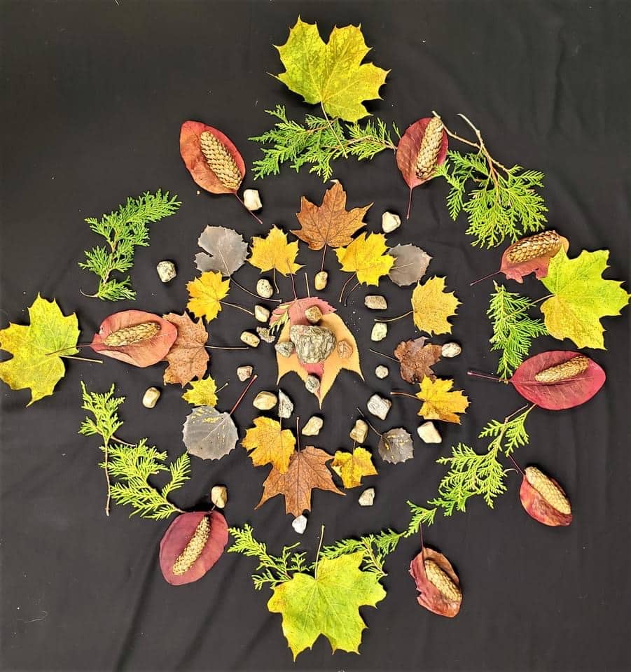 Crédit photo: Josée Nadeau, enseignante