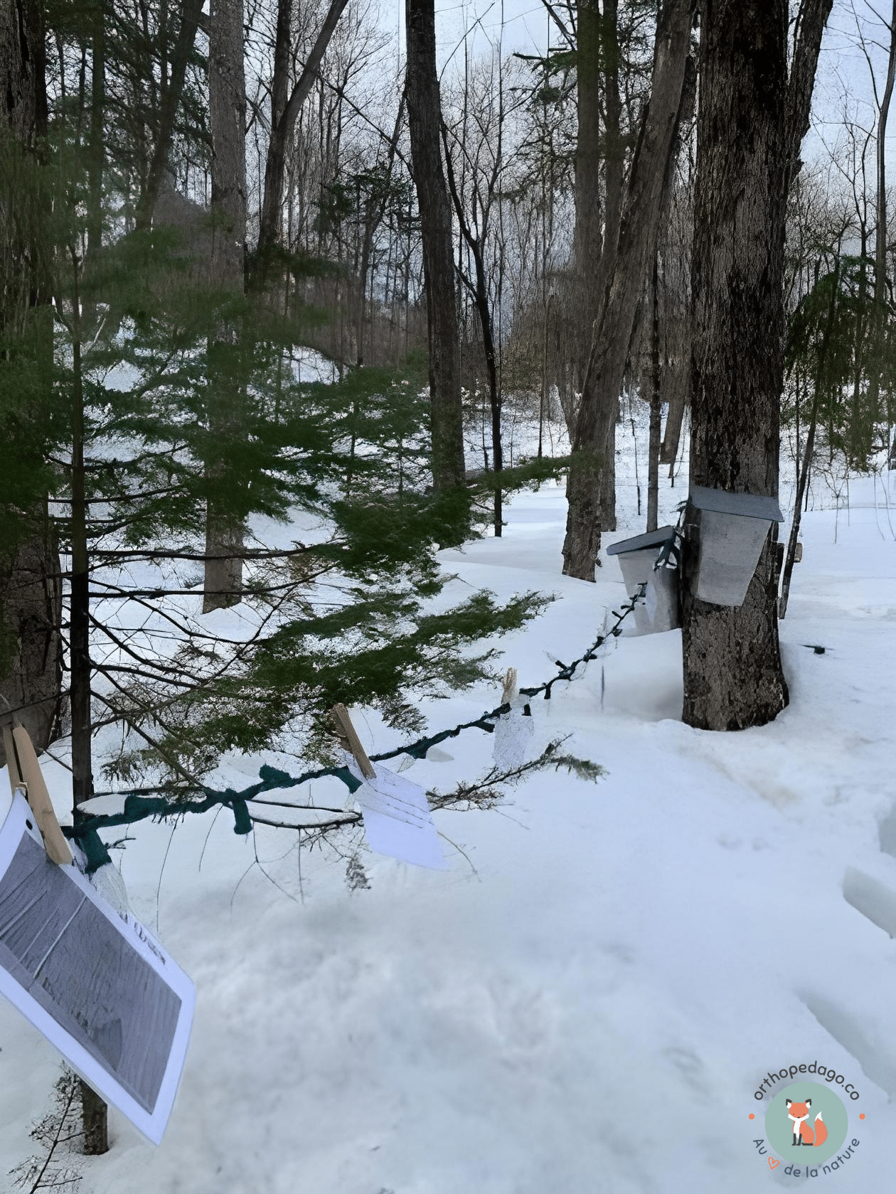 La mise en pratique
Photo : Stéphanie Bergeron