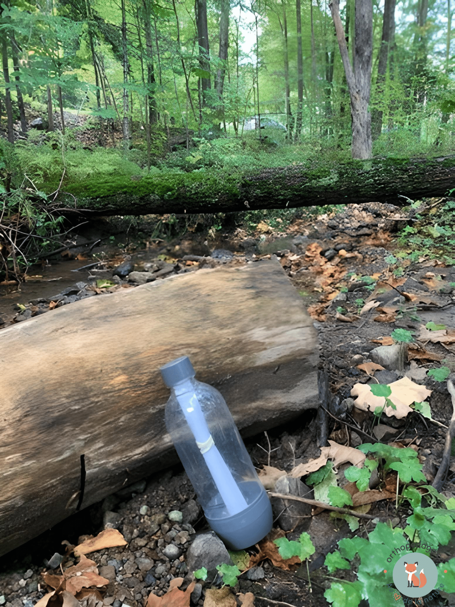 L’activité de découverte
Photo : Stéphanie Bergeron