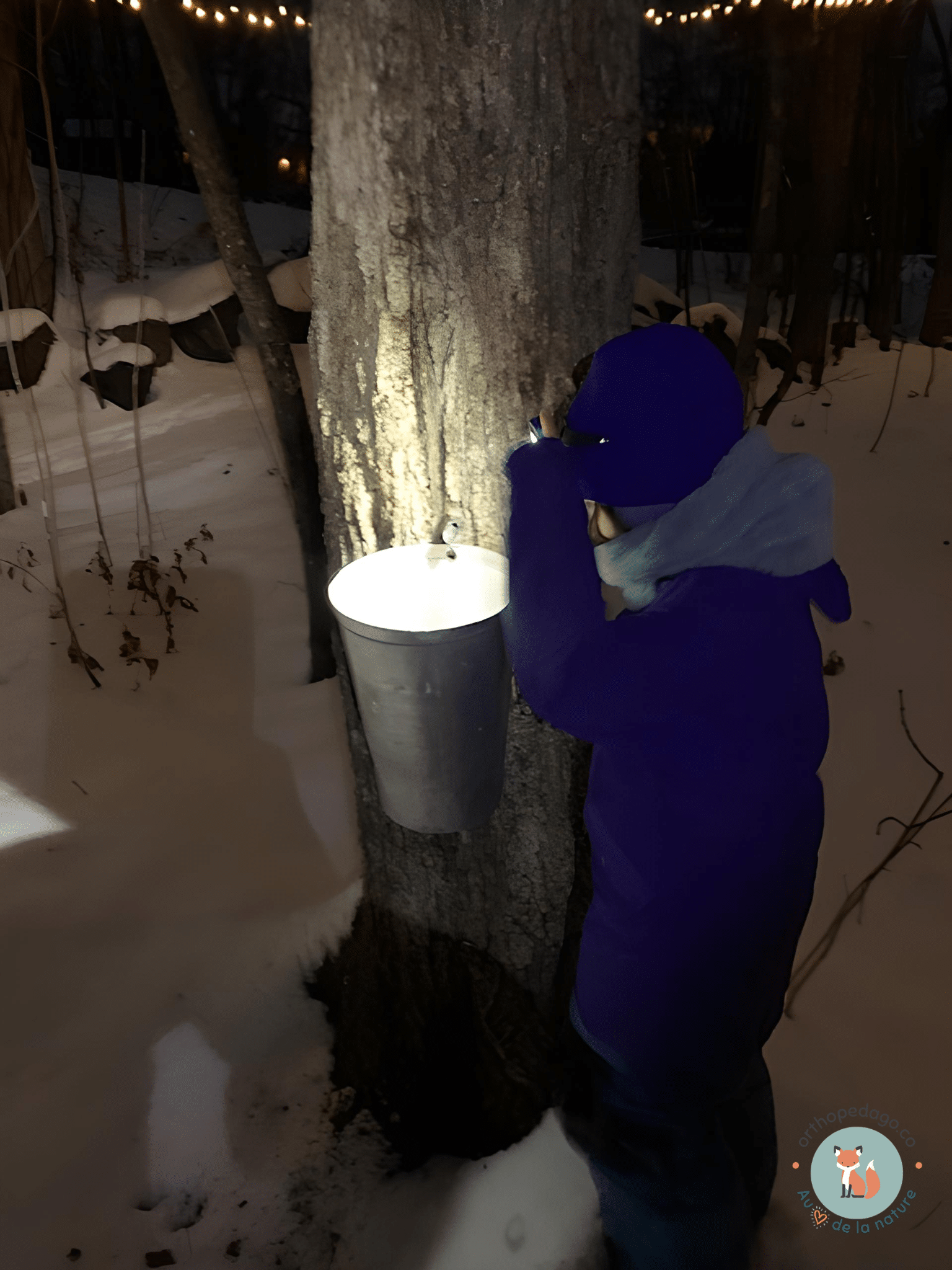 L’activité de découverte
Photo : Stéphanie Bergeron