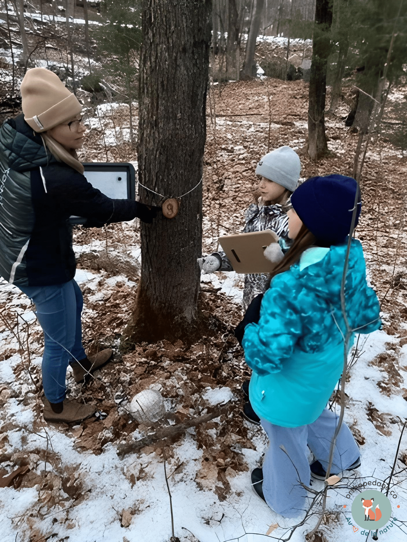 L’enseignement de la notion
Photo : Stéphanie Bergeron