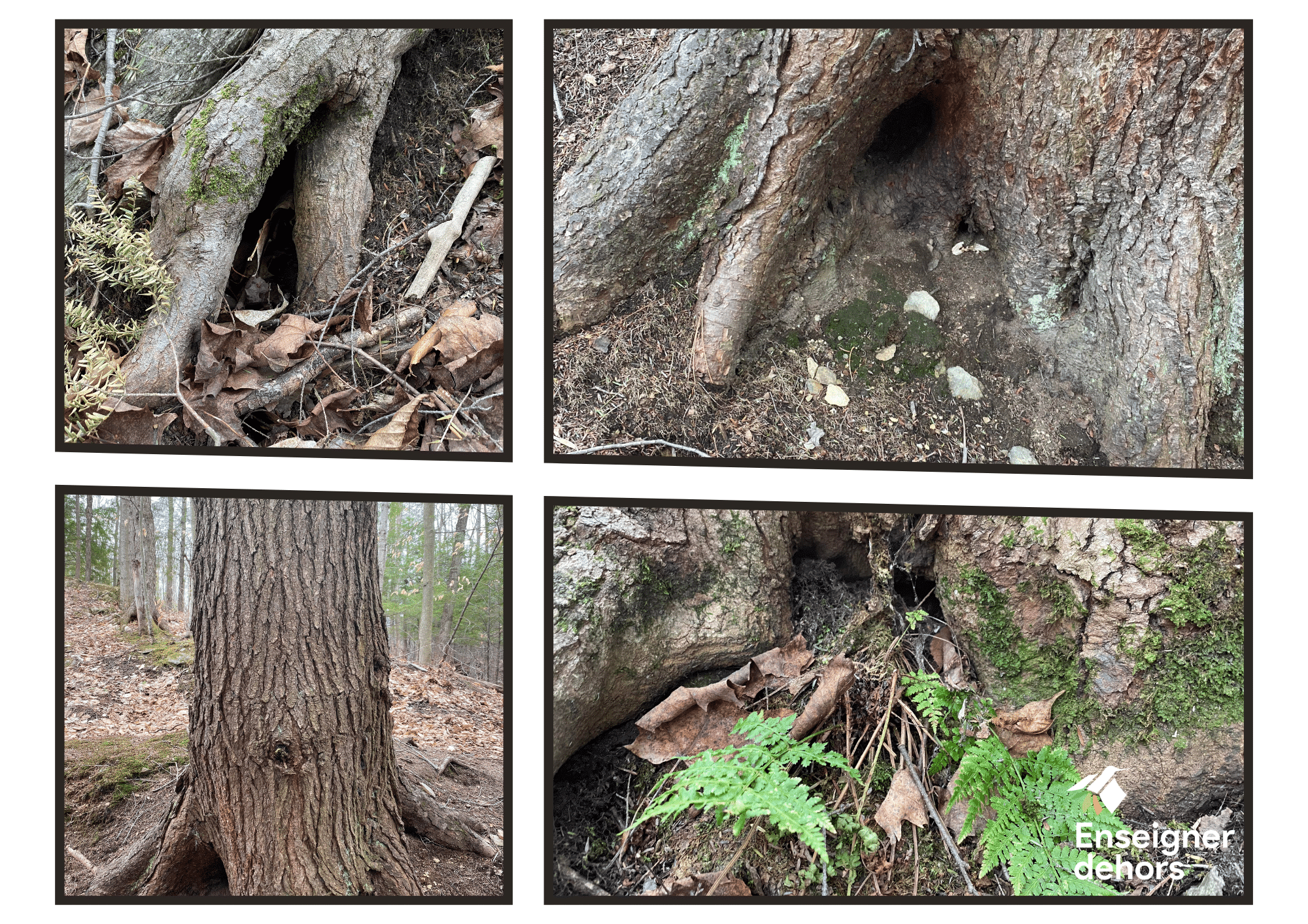 Photo: Alice-Anne Rannou