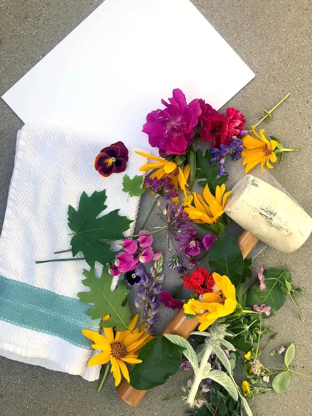 Photo : https://partieswithacause.com/hammered-nature-art-craft-for-kids/?utm_medium=social&utm_source=pinterest&utm_campaign=tailwind_tribes&utm_content=tribes&utm_term=1089118874_52261312_229947