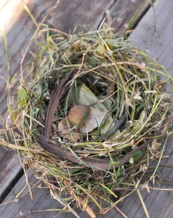 Photo: https://www.education.com/activity/article/like_birds_and_make_nest/?epik=dj0yJnU9emRfSHg2VlZ6Y2VwQ2p2MHJWeDlRY09kbzd3VjlqRTEmcD0wJm49NkEwc09wa3F1bEVzVW80SjJRQ2ZvZyZ0PUFBQUFBR1g1OWhr