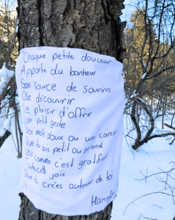 Photo: École Roy - Saint-Louis, La Guadeloupe