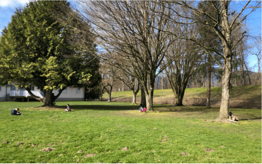 Photo : Lieu d'ancrage Creative classroom core https://creativeclassroomcore.com/sit-spots-quiet-nature-observation/